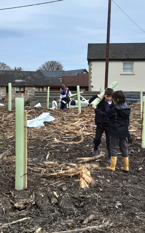 Gallery - created at 2025-04-30 13:12:16 - image 10 Gallery - created at 2025-04-30 13:12:16 - image 10