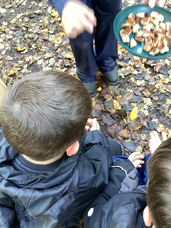 cooking sausages 25 - image 2 cooking sausages 25 - image 2