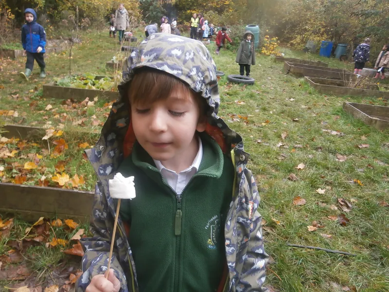 Forest School Fun Year 1 - image 33 Forest School Fun Year 1 - image 33