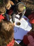 Forest School 104 - image 3 Forest School 104 - image 3