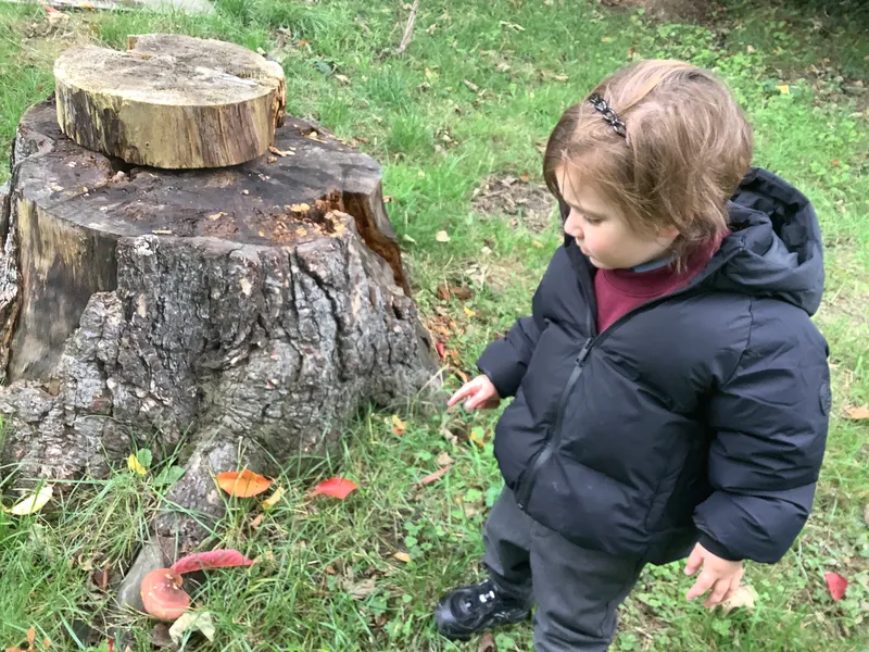 Nursery RE Creation - image 11 Nursery RE Creation - image 11