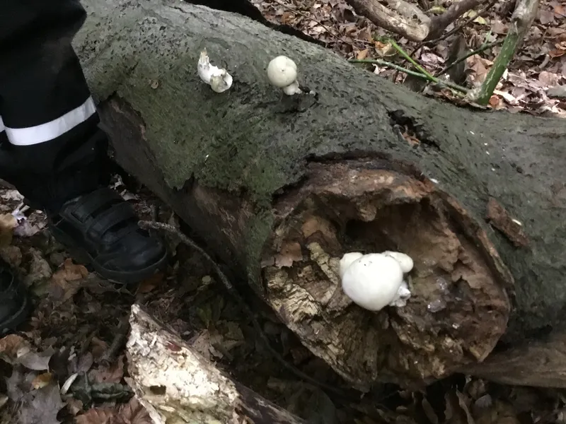 Gallery - created at 2022-10-03 16:37:54 - image 8