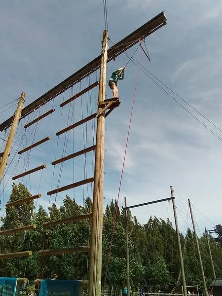 Group 3 - Trapeze - image 82