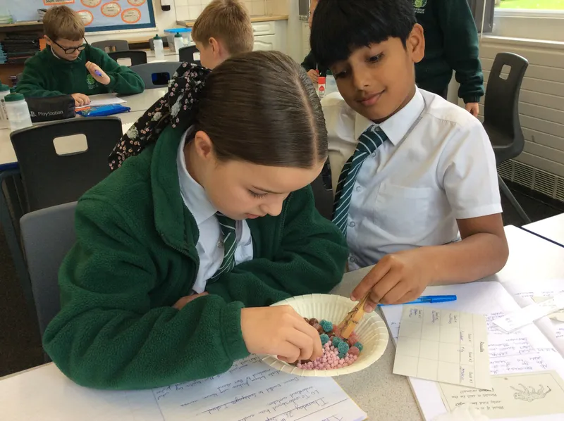 Sycamore Science - Natural Selection - image 5