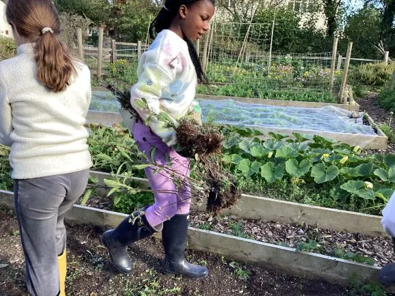 Farm Trip - Gallery 4 - image 7