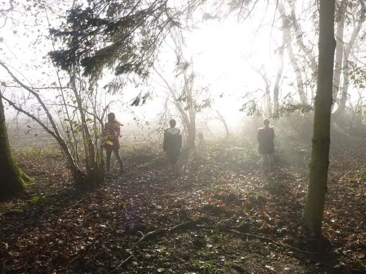 Gallery 2 - image 25