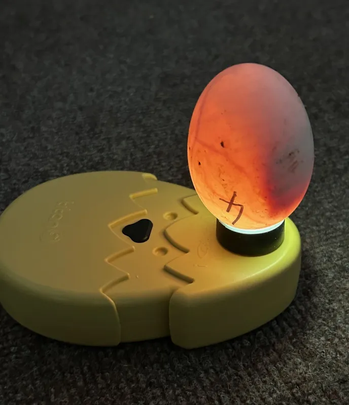 Gallery - created at 2025-05-02 12:16:59 - image 6