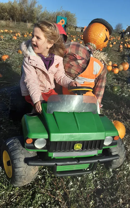 Gallery - created at 2024-10-25 14:50:36 - image 8 Gallery - created at 2024-10-25 14:50:36 - image 8