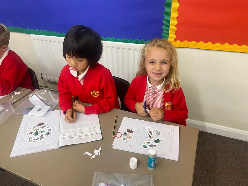 Gallery - created at 2024-09-06 14:06:42 - image 2