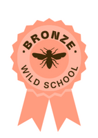 Bronze Wild School Award