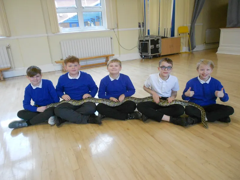 Y6 Reptile Rendezvous - image 67