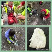 Forest School 5 - image 3 Forest School 5 - image 3