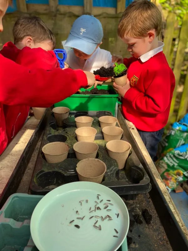 Gallery - created at 2025-05-11 13:26:35 - image 13