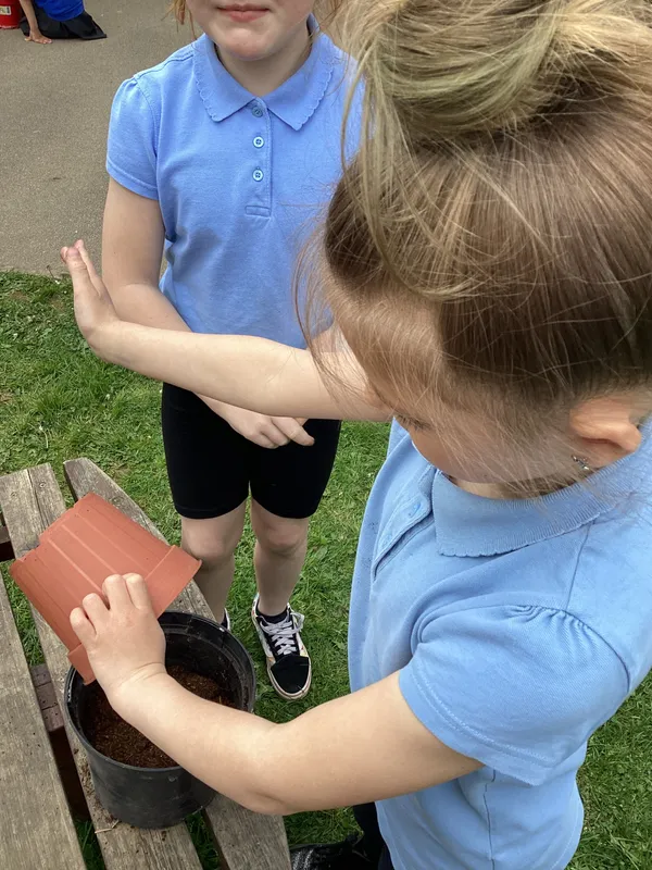 Gallery - created at 2022-05-13 14:39:33 - image 2 Gallery - created at 2022-05-13 14:39:33 - image 2