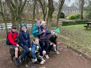 Gallery - created at 2023-03-01 14:01:13 - image 10