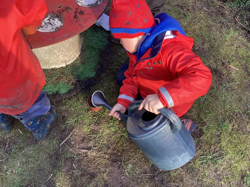 Gallery - created at 2025-02-25 16:17:58 - image 3