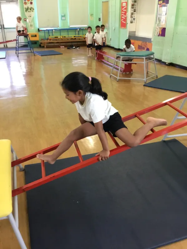 PE Gallery - image 7