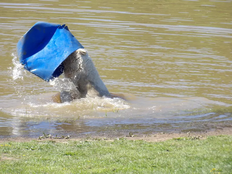 Y3 Yorkshire Wildlife Park Trip - image 5