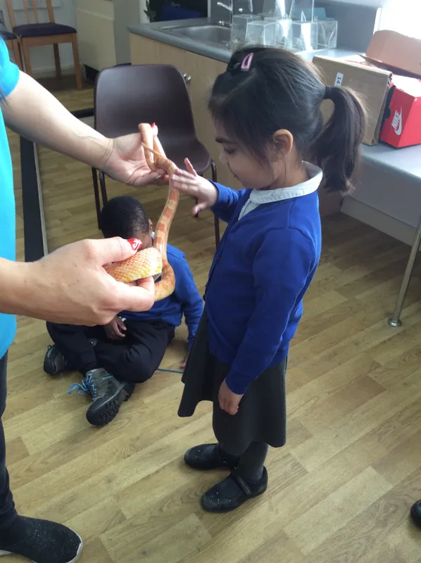 Gallery - created at 2024-02-26 17:15:57 - image 86 Gallery - created at 2024-02-26 17:15:57 - image 86