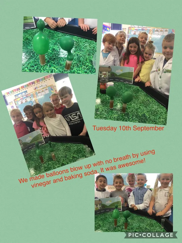 Gallery - created at 2019-09-18 20:51:50 - image 11