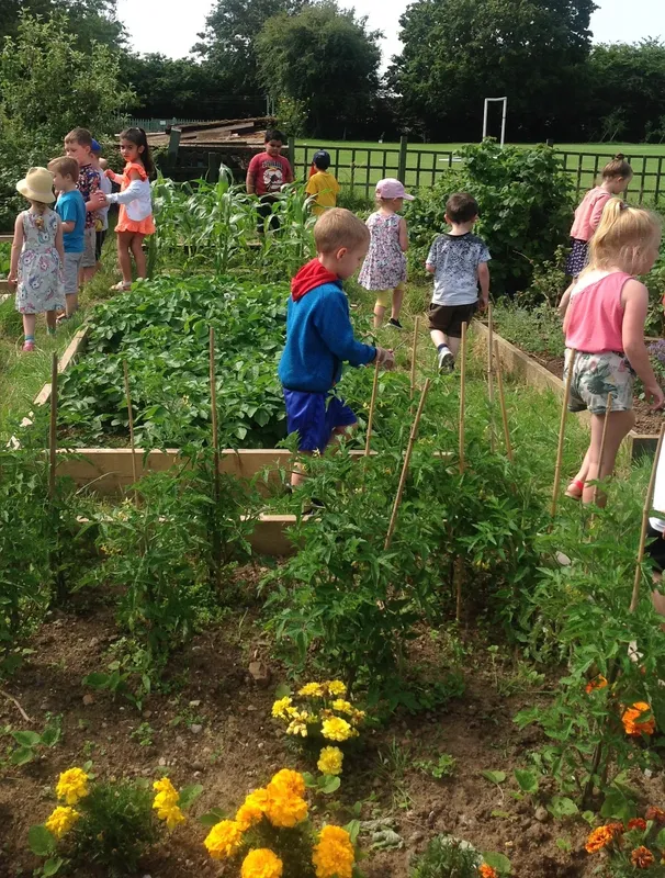 Gallery - created at 2020-02-19 14:08:55 - image 2