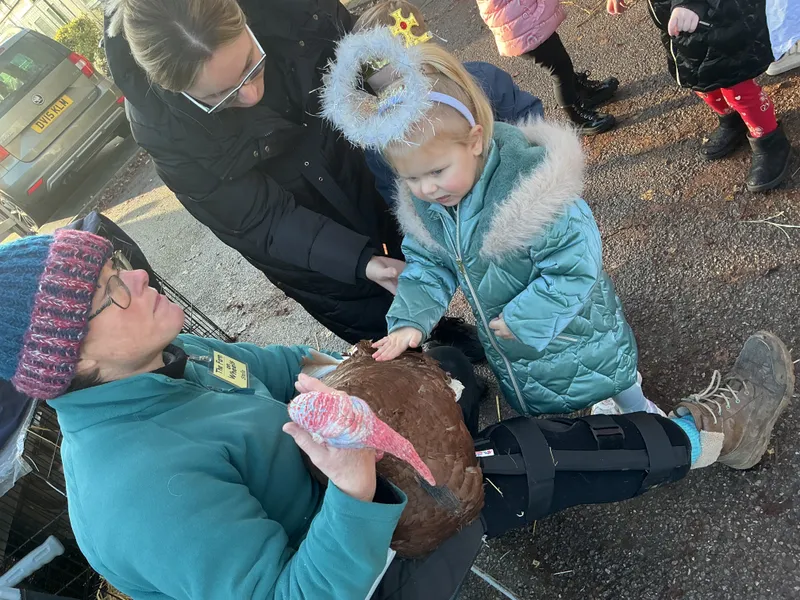 Stella farm on wheels Part 1 - image 23