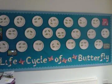 Gallery - created at 2020-11-25 13:01:59 - image 6