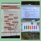 Forest School 26 - image 1 Forest School 26 - image 1