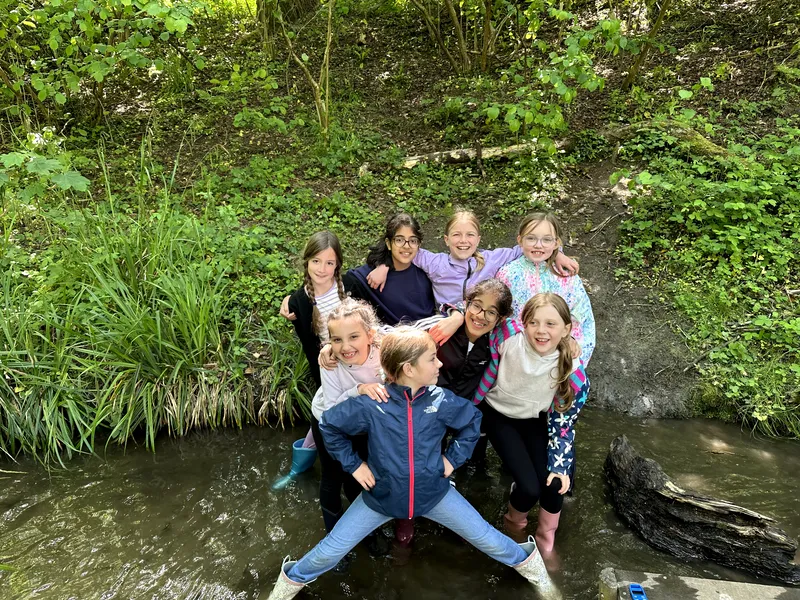 Drews Pond Woods - image 1