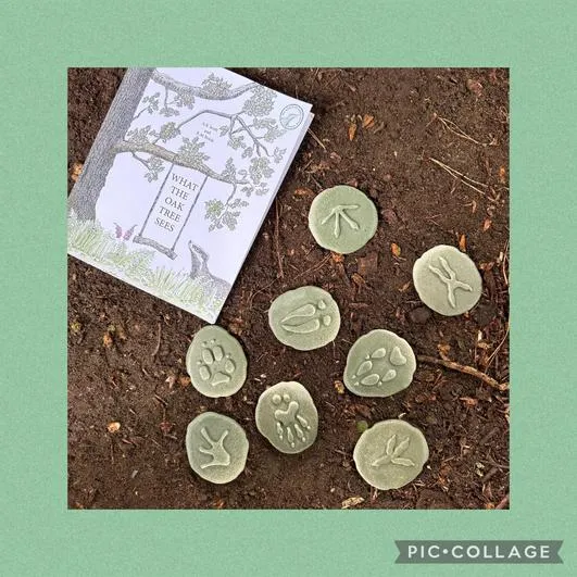 Forest Schools 1 - image 1 Forest Schools 1 - image 1