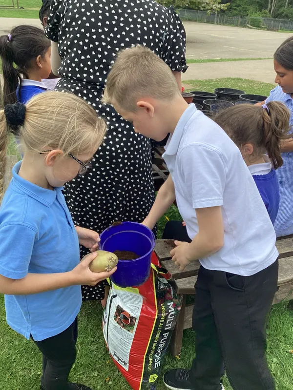 Gallery - created at 2022-05-13 14:39:33 - image 3 Gallery - created at 2022-05-13 14:39:33 - image 3