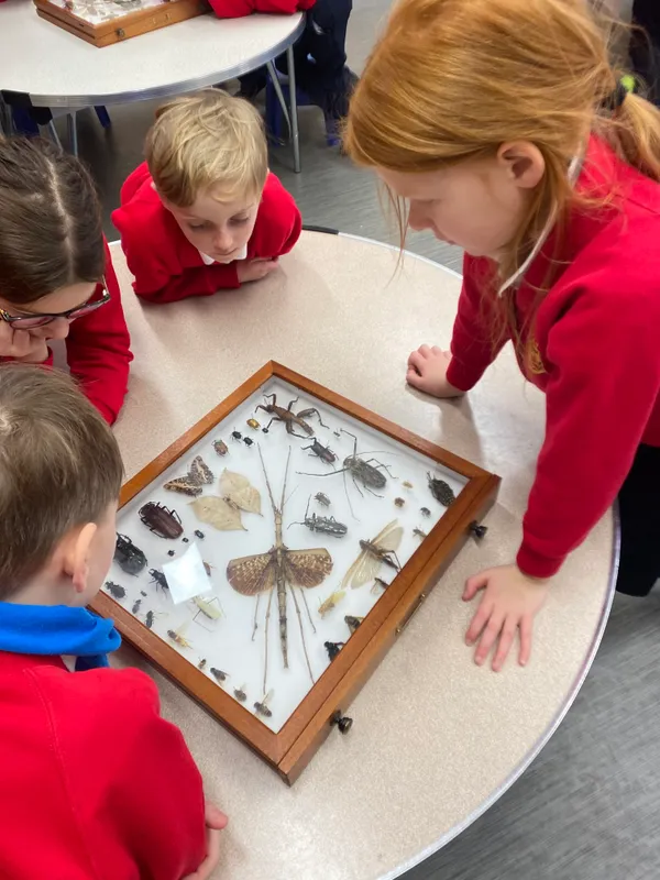 Gallery - created at 2024-01-16 20:24:51 - image 9 Gallery - created at 2024-01-16 20:24:51 - image 9