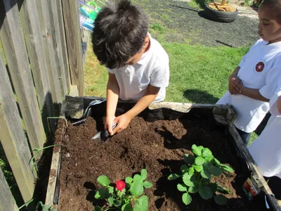 Planting - image 34