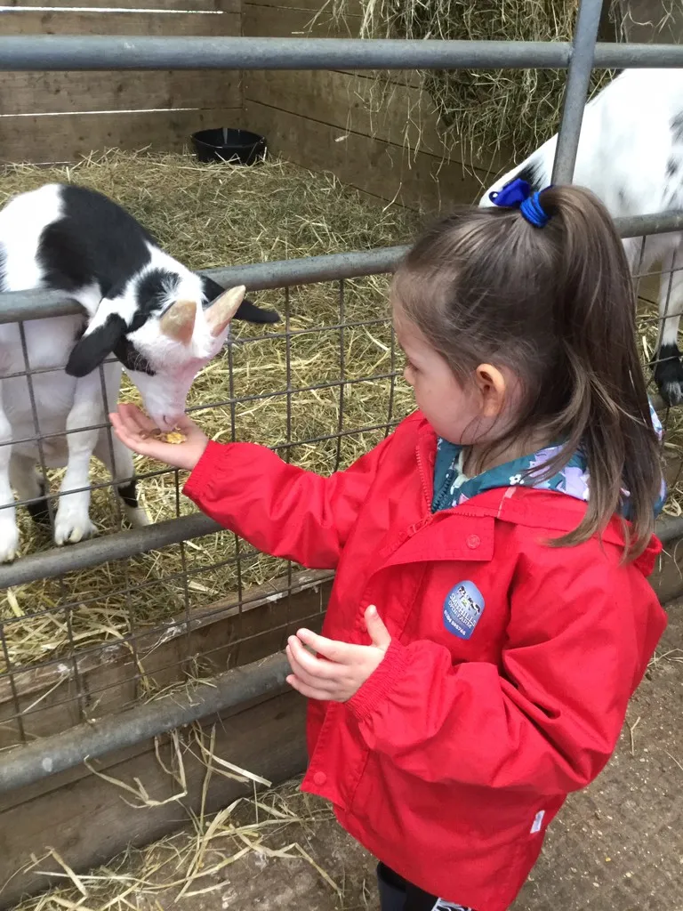 Smithills Farm - image 2