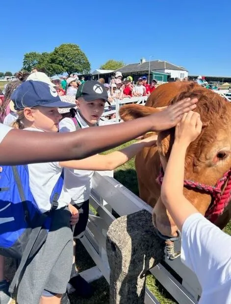 Gallery - created at 2024-01-29 10:37:39 - image 2