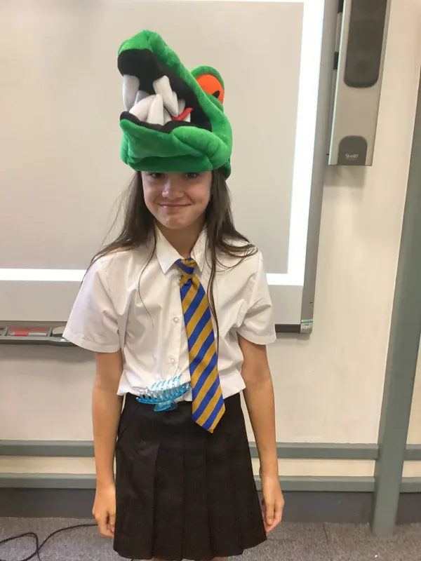 Gallery - image 14