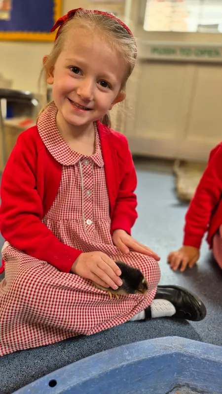 Gallery - created at 2025-05-17 14:55:55 - image 13