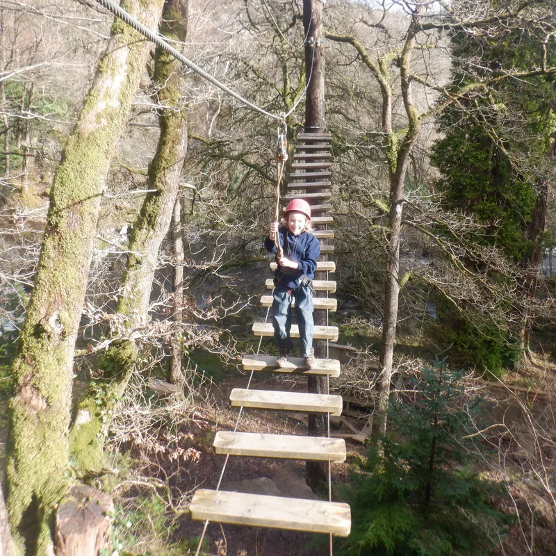 Gallery - created at 2025-02-27 19:57:56 - image 20