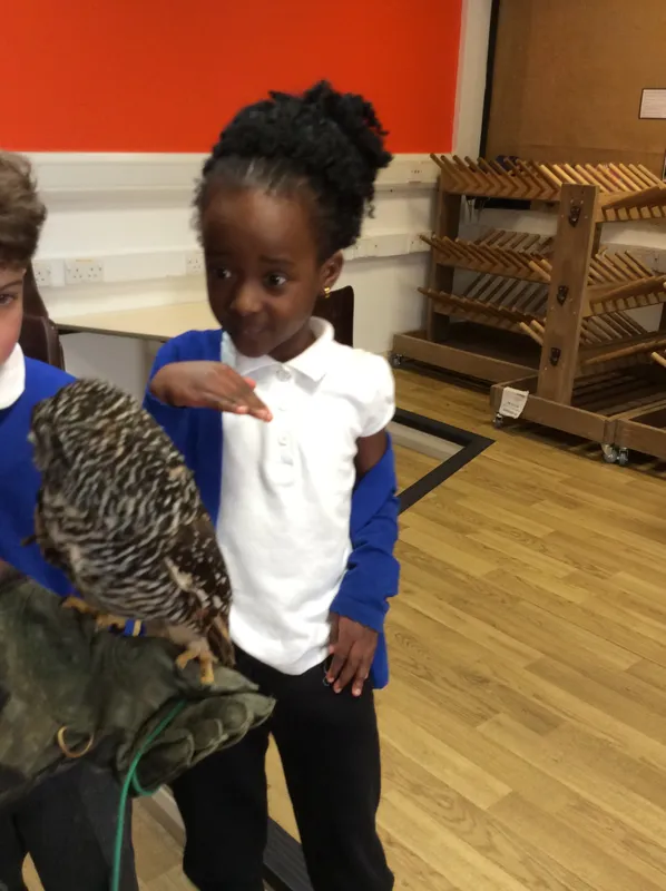 Gallery - created at 2024-02-26 17:15:57 - image 19 Gallery - created at 2024-02-26 17:15:57 - image 19