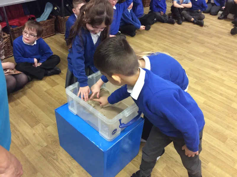 Gallery - created at 2024-03-05 13:52:56 - image 29 Gallery - created at 2024-03-05 13:52:56 - image 29