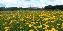 Burrs Country Park