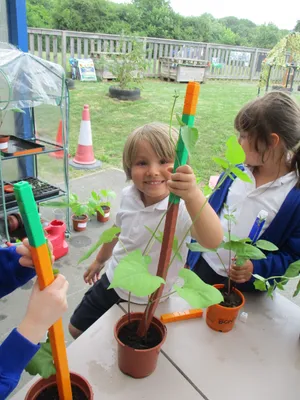 Giant Beanstalks - image 20
