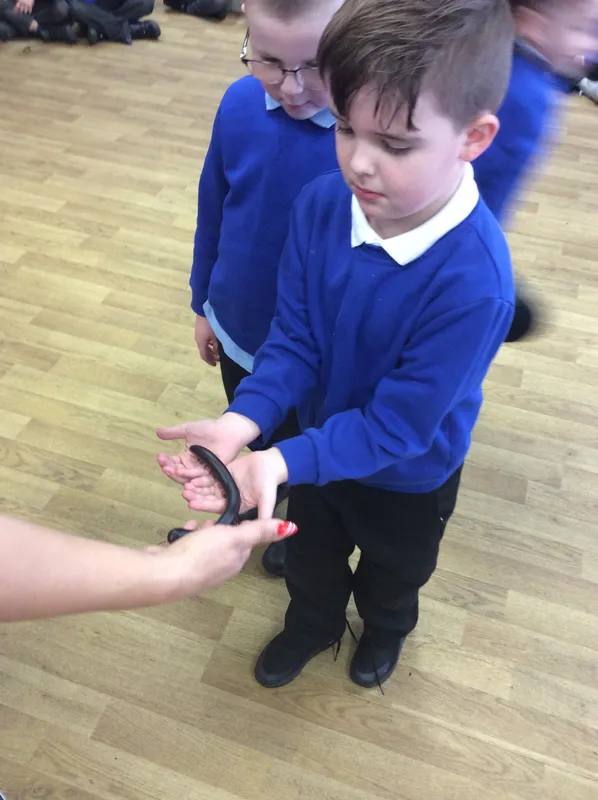 Gallery - created at 2024-03-05 13:52:56 - image 52 Gallery - created at 2024-03-05 13:52:56 - image 52