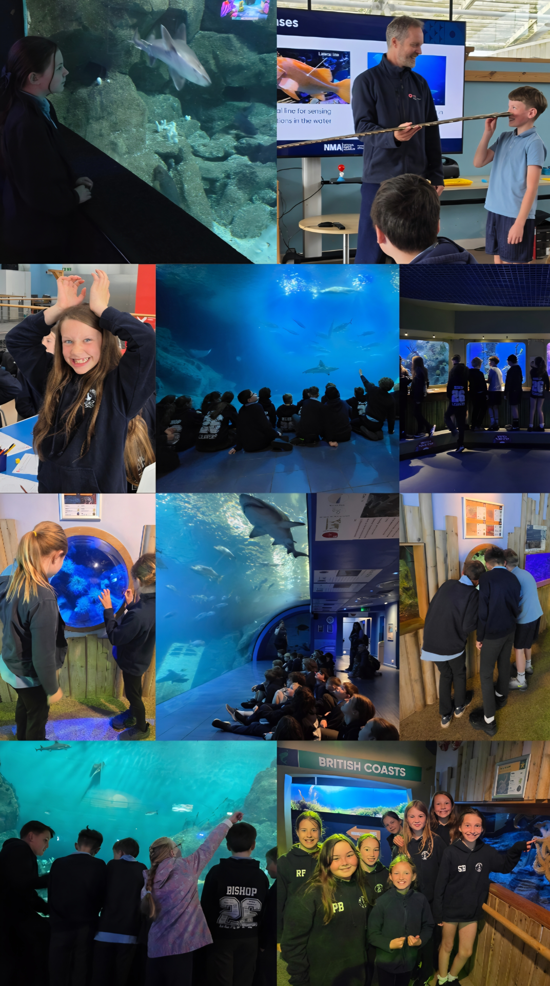 Plymouth Aquarium