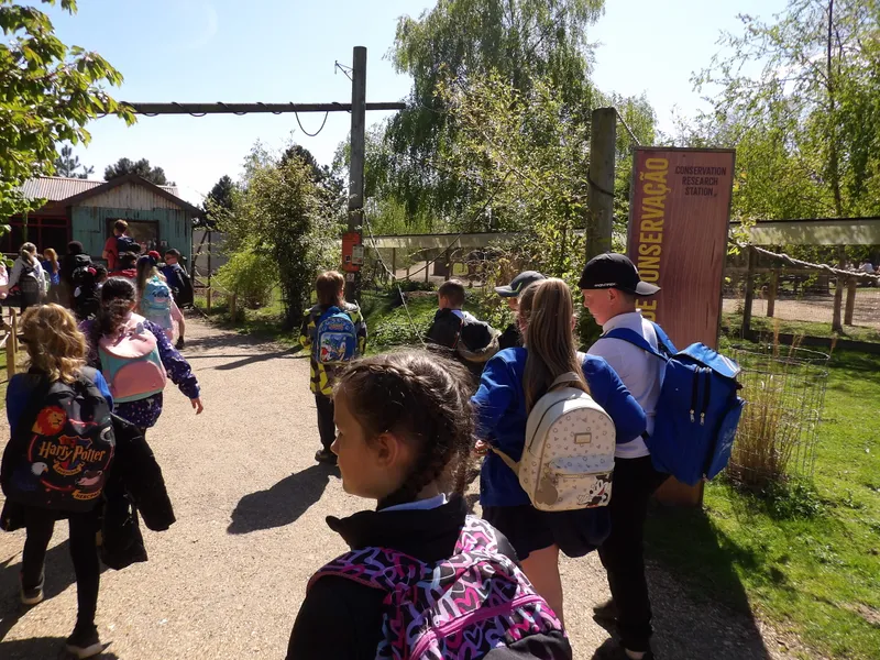 Y3 Yorkshire Wildlife Park Trip - image 3