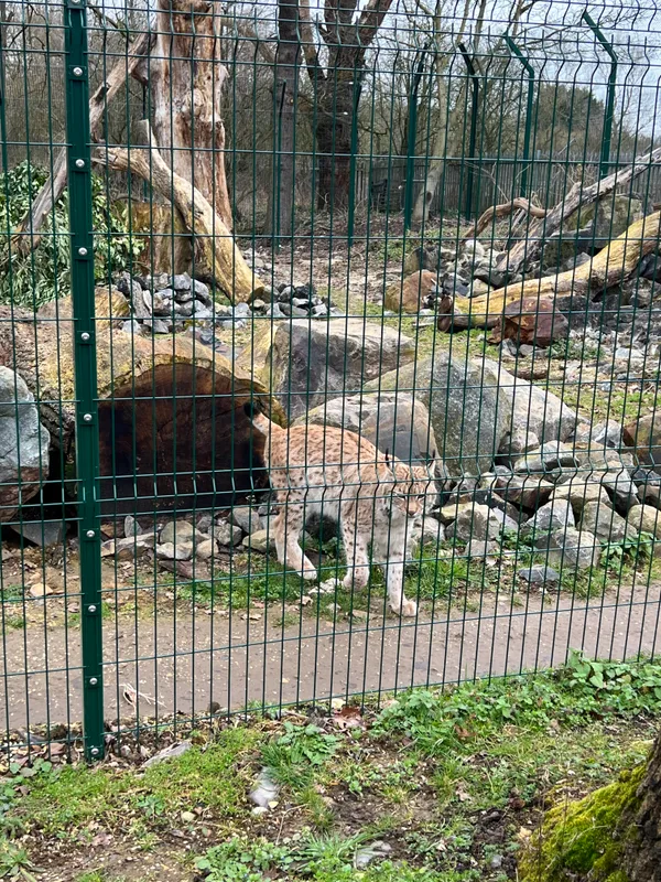 Gallery - created at 2023-02-28 20:50:59 - image 2 Gallery - created at 2023-02-28 20:50:59 - image 2