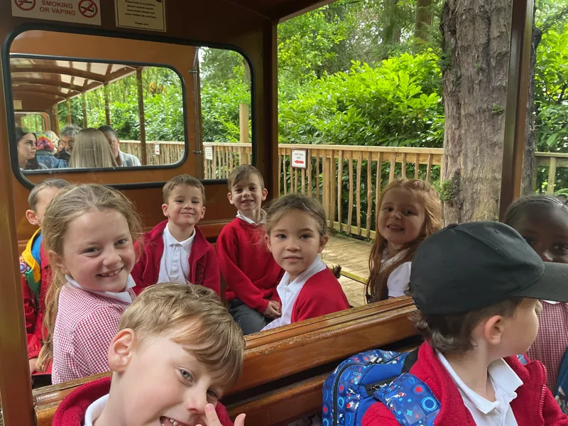 Year 1 trip to Cotswold Wildlife Park - image 7 Year 1 trip to Cotswold Wildlife Park - image 7