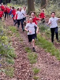 Gallery - created at 2024-04-26 15:50:17 - image 5