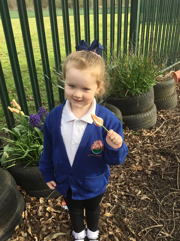 Nursery spring flowers - image 2