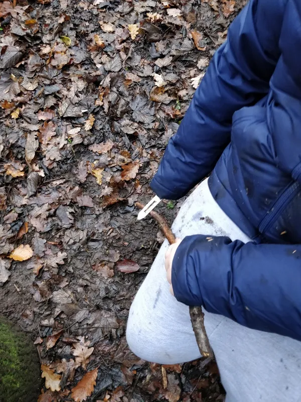 Y3 Forest Schools December 2020 - image 4